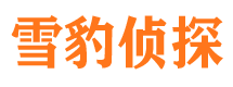 延川市调查公司